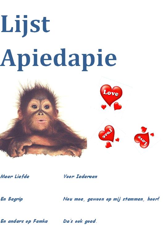 Het is ff wennen maar het wordt&nbsp;leuk