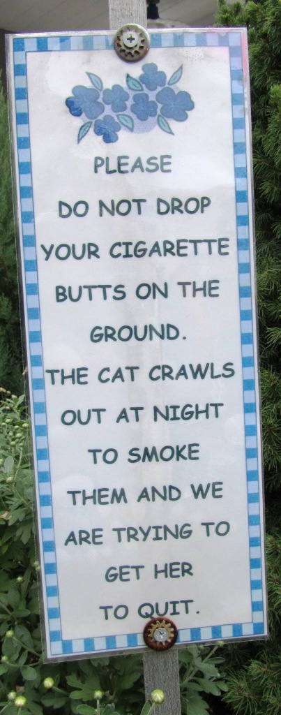 smoking cat bordje