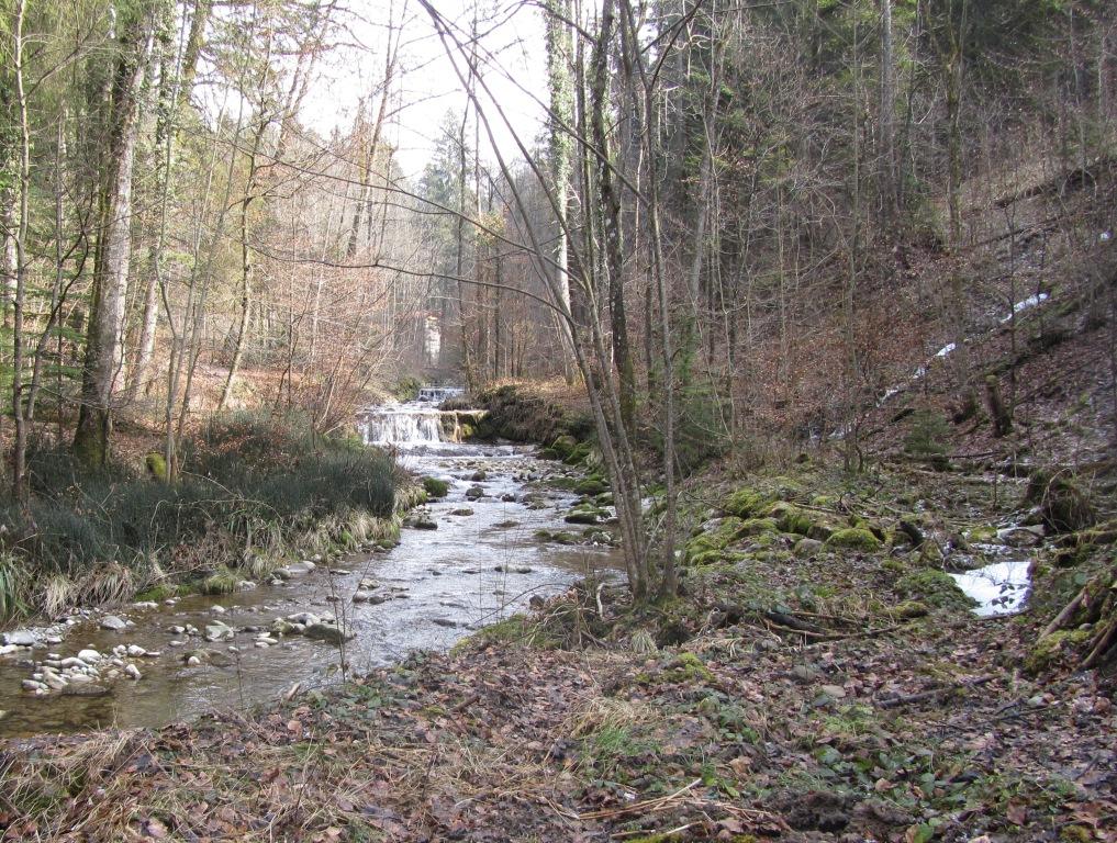 Ze lokte me naar het&nbsp;bos