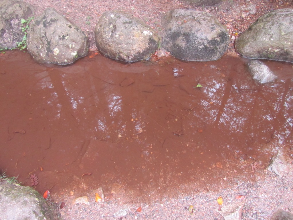 Aan de bruine&nbsp;Donau