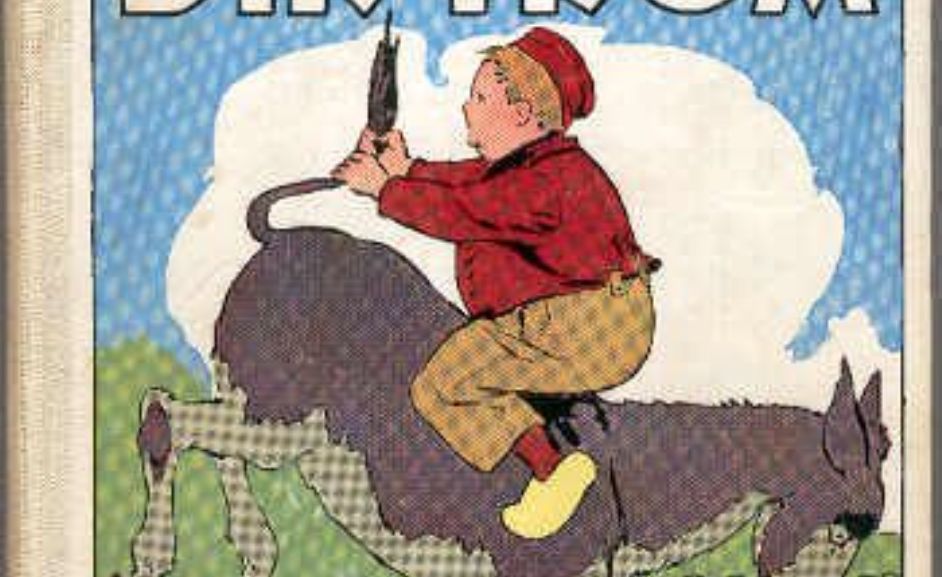 DSR kan er ook niks aan doen&nbsp;(12)