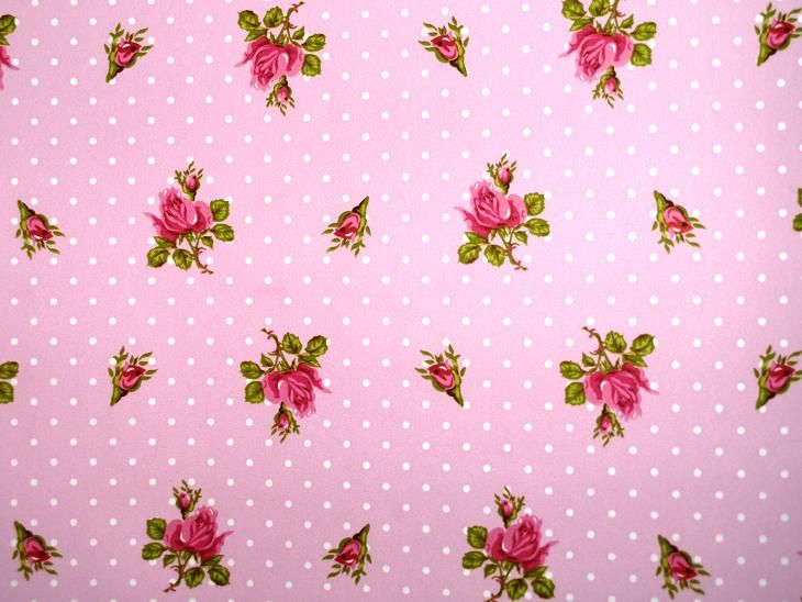 Een haathok met een gezellig behangetje is het hier volgens DSR&nbsp;(24)