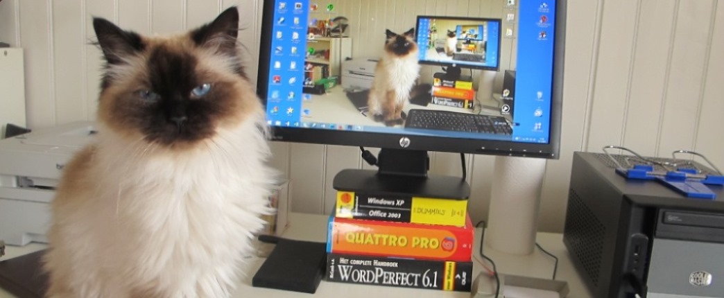 Gedichtjes van Plopje en/of&nbsp;anderen