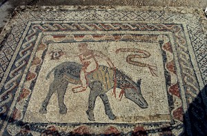 't Is een bijzonder kind en dat is ie