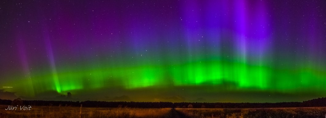 Maak jij de binnenkant van je theepotje schoon?&nbsp;(122)