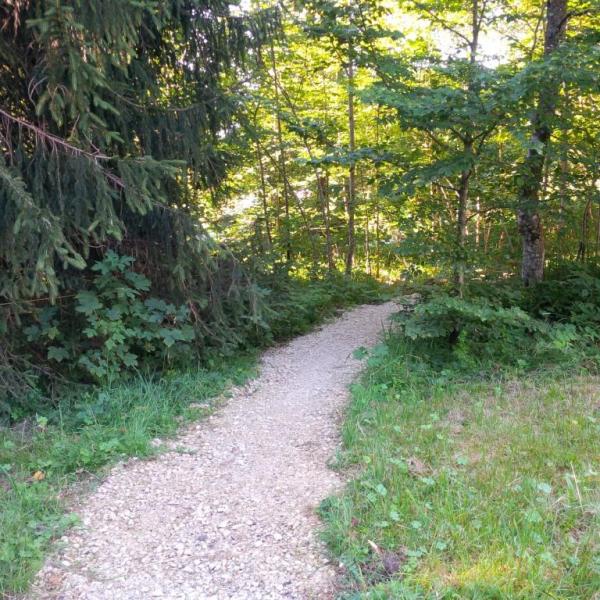 Photo (c) 2016 A. Dapie, Pad ergens naar toe