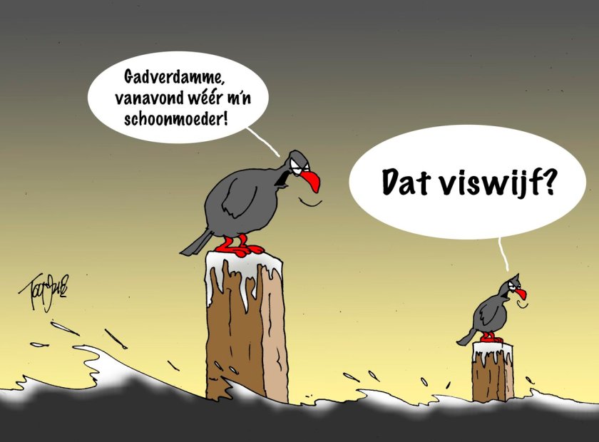Tekening Toon van Driel Tekst: Toon van Driel & Bas van Vuren