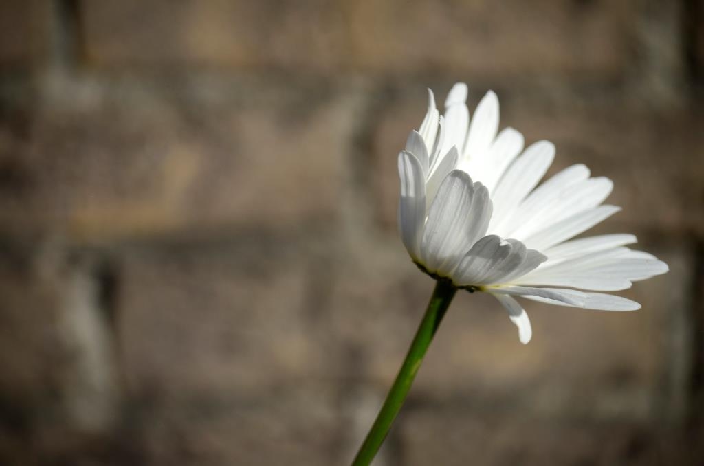 Tot stof zoals&nbsp;weleer