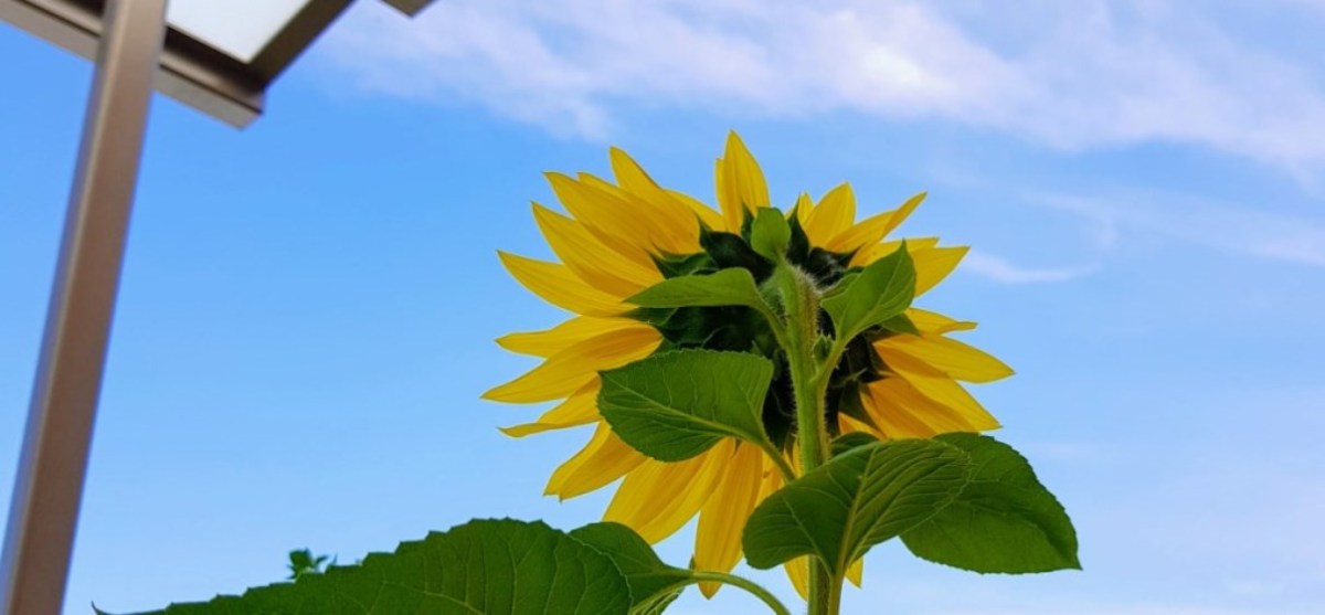 Niet op fietsvakantie&nbsp;(204)