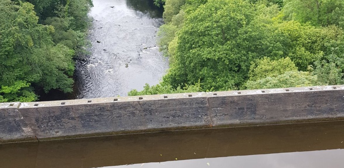 Rondsnuiven onder druipende bomen&nbsp;(242)