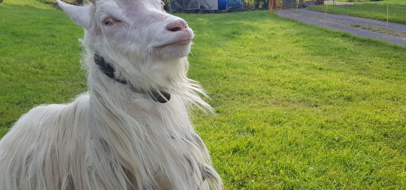 Dan maak je maar zin (286) – Bas van Vuren, aangenaam