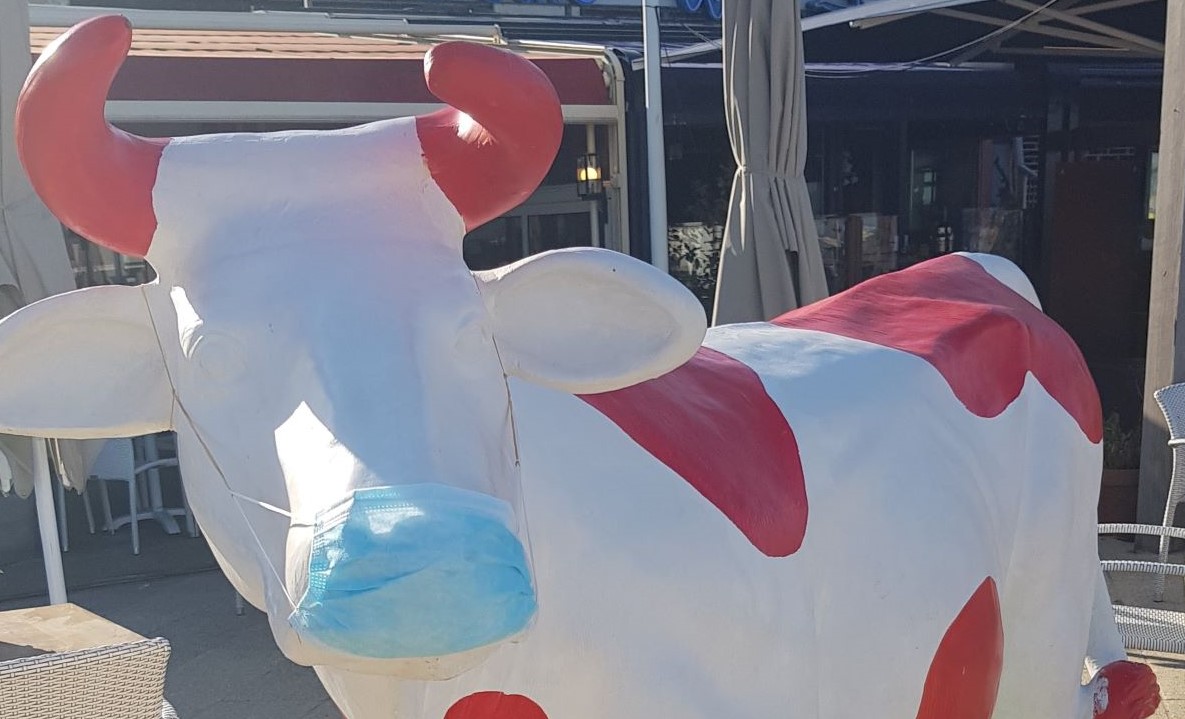 Geef die vent een gulden&nbsp;(293)