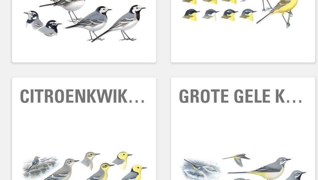 Wauw. Cool. Intiem&nbsp;(301)