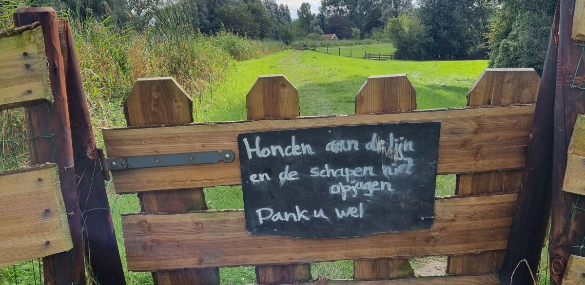 Internet voor oude mensen&nbsp;(345)