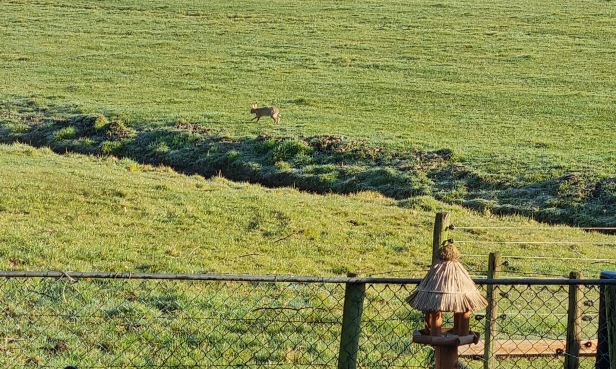 DSR is geweldig. Al jaren. Punt.&nbsp;(371)