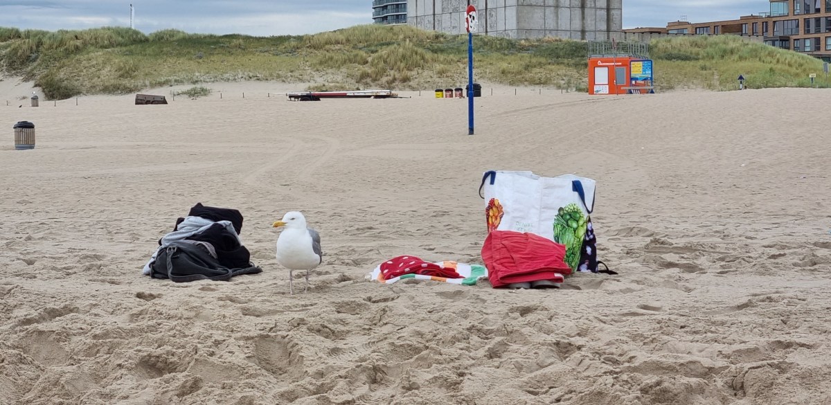 Een piepklein handdoekje&nbsp;(391)