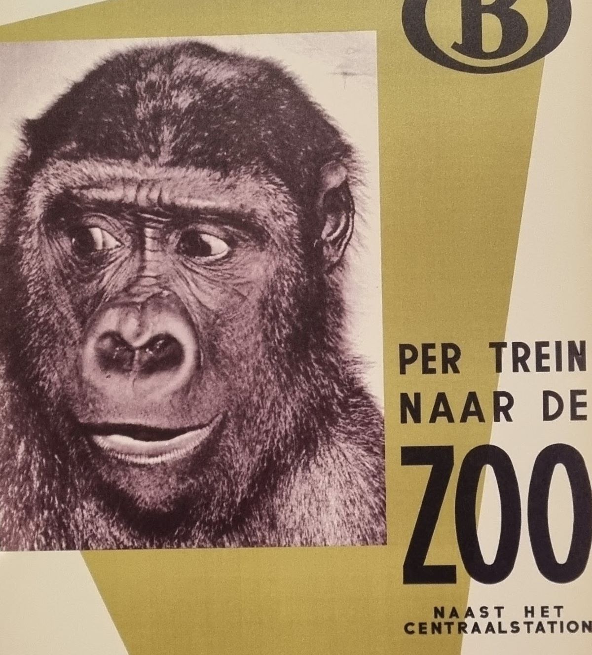 Lekker zuipen en dansen (ikjesrecensies, editie&nbsp;468)